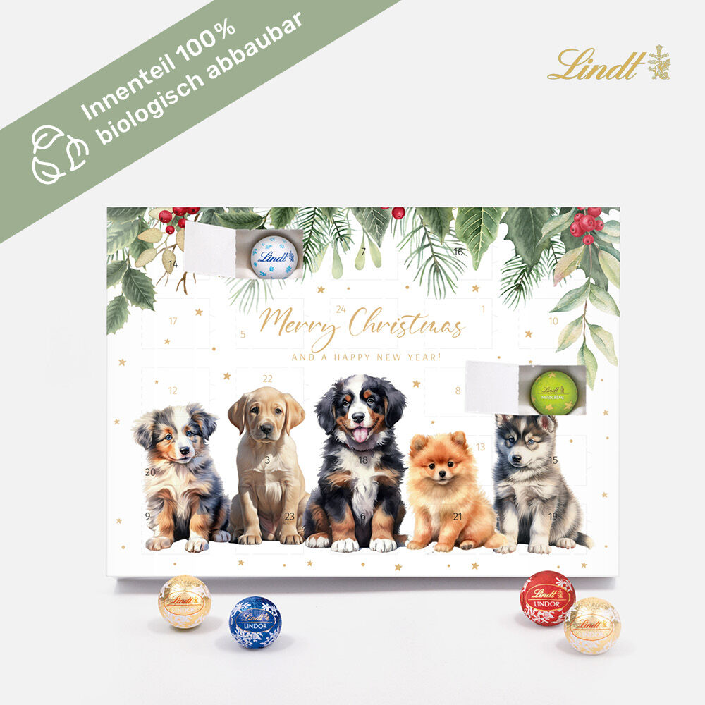 Tisch-Adventskalender Lindt Dogs
