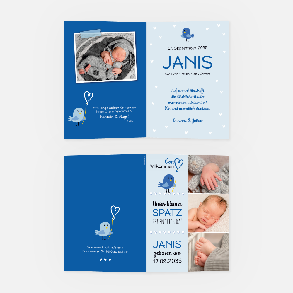 Geburtskarte Janis