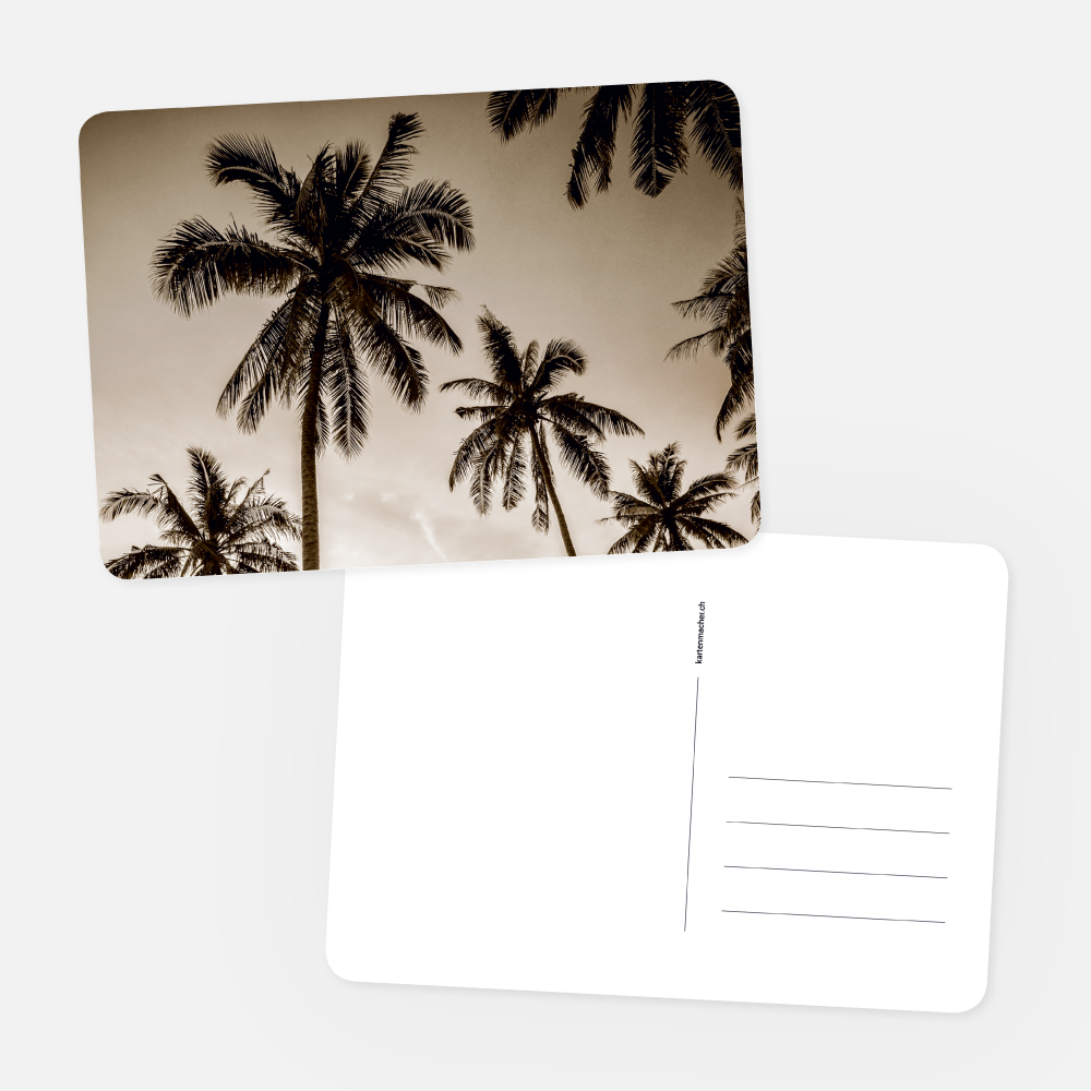 Postkarten Palmen