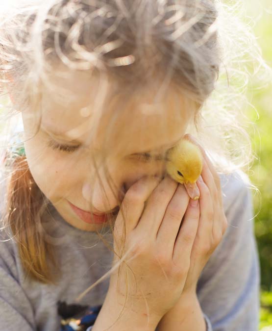 Ostereier, Osterhasen und Blumen – so gestaltest du Osterkarten