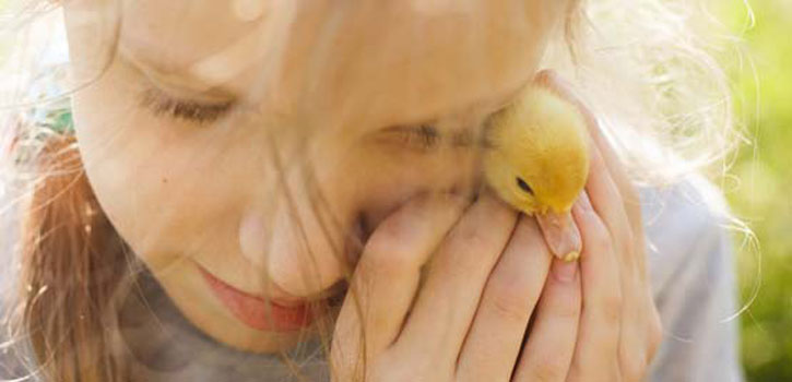 Ostereier, Osterhasen und Blumen – so gestaltest du Osterkarten