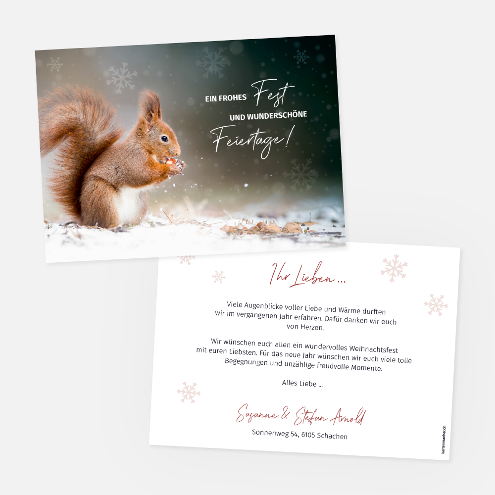 Weihnachtskarte Eichhörnchen