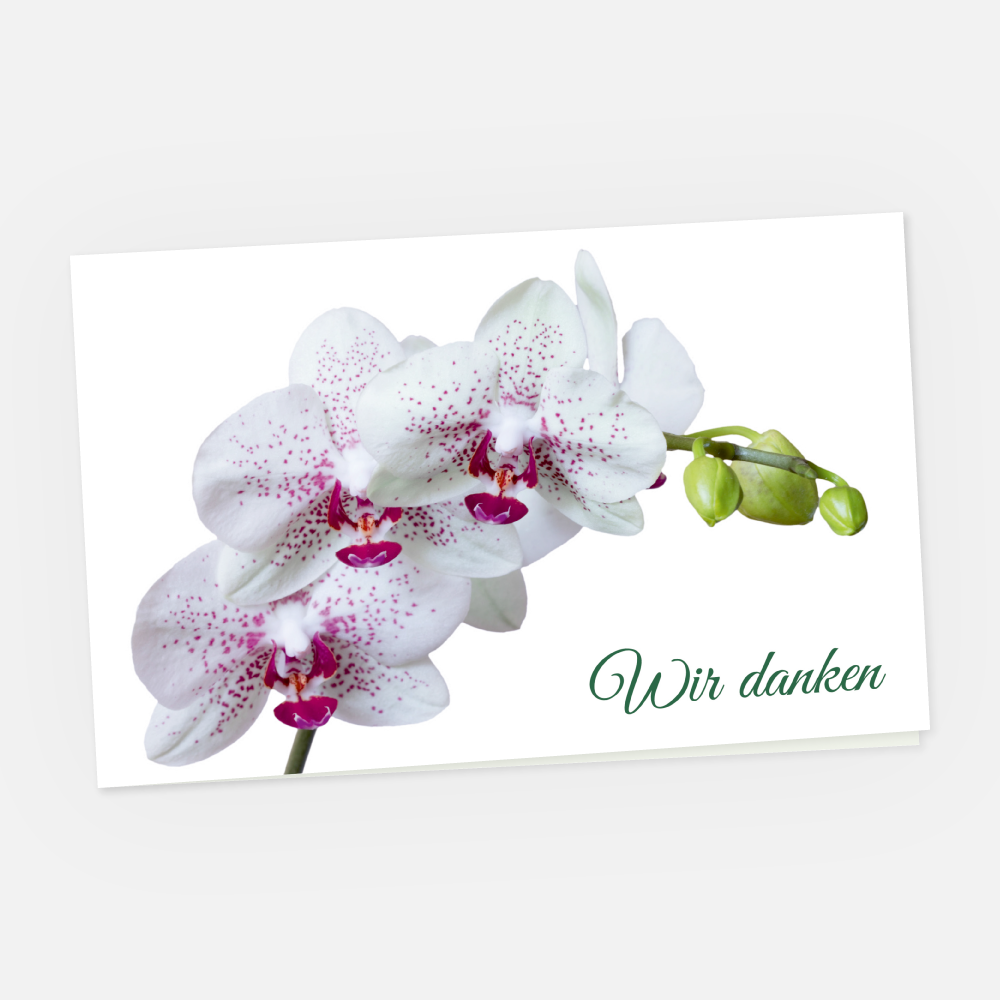 Danksagungskarte Orchidee