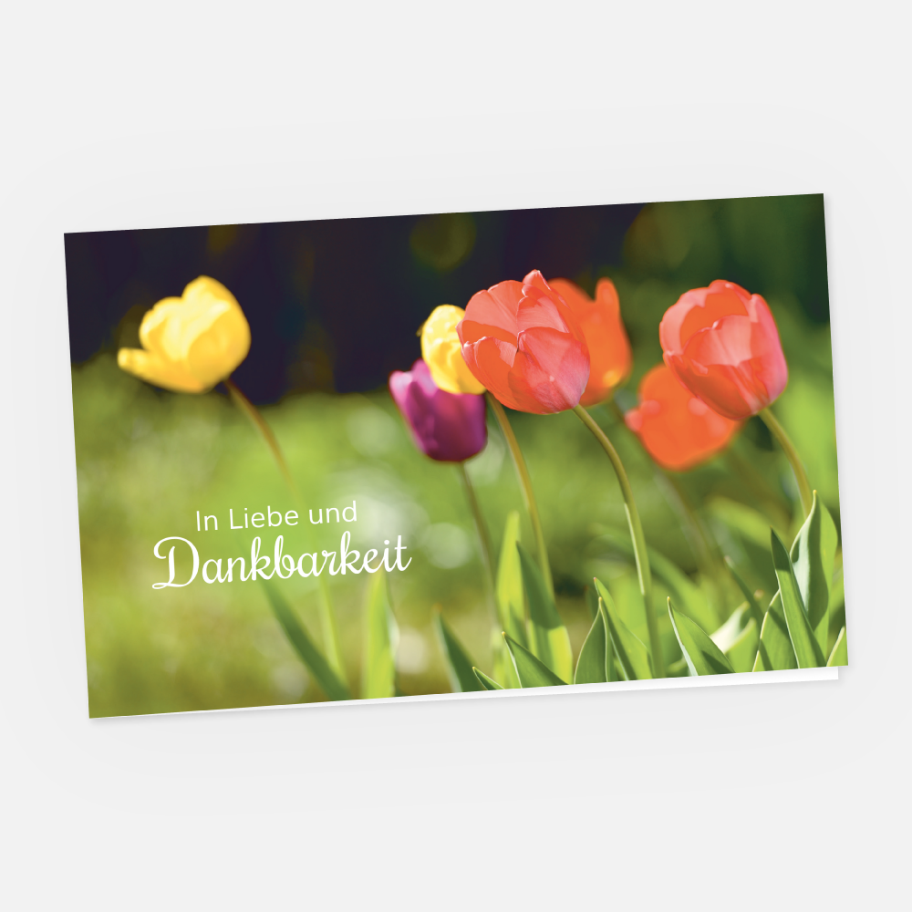 Danksagungskarte Farbige Tulpen