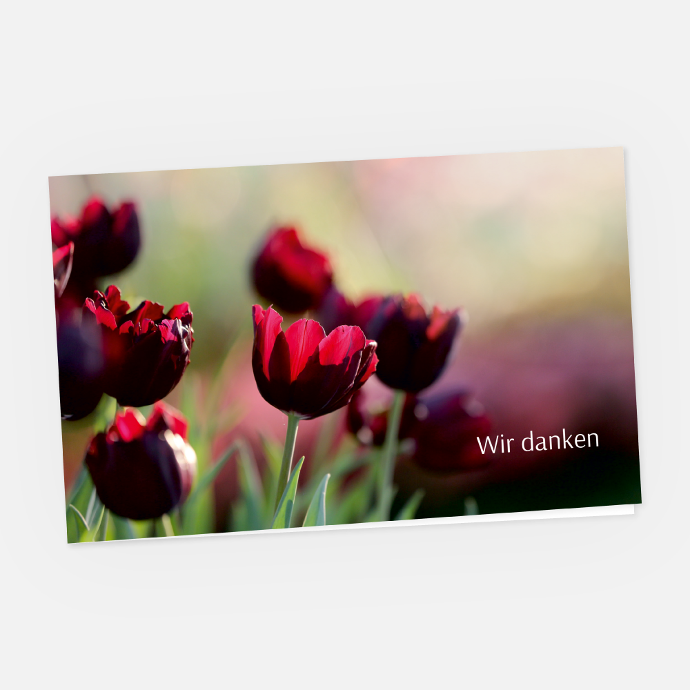 Danksagungskarte Tulpen