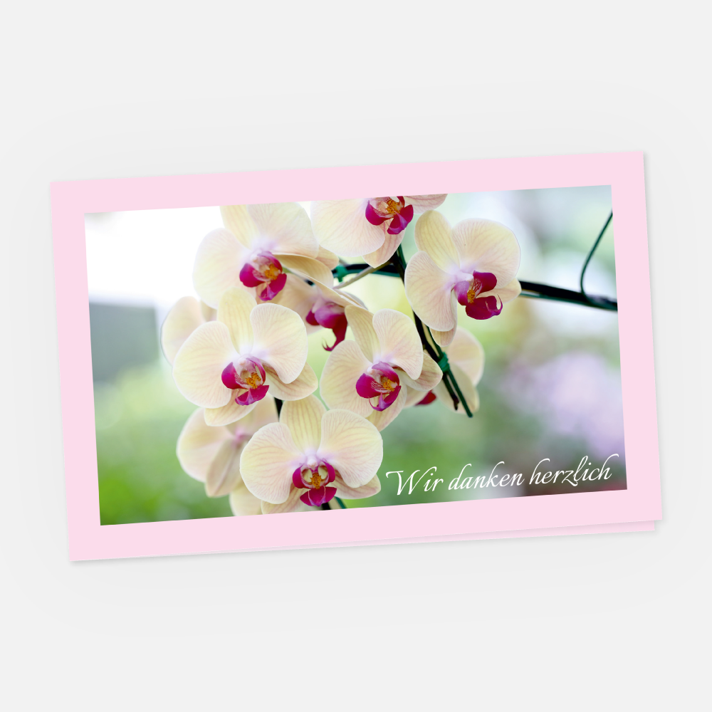 Danksagungskarte Weisse Orchideen