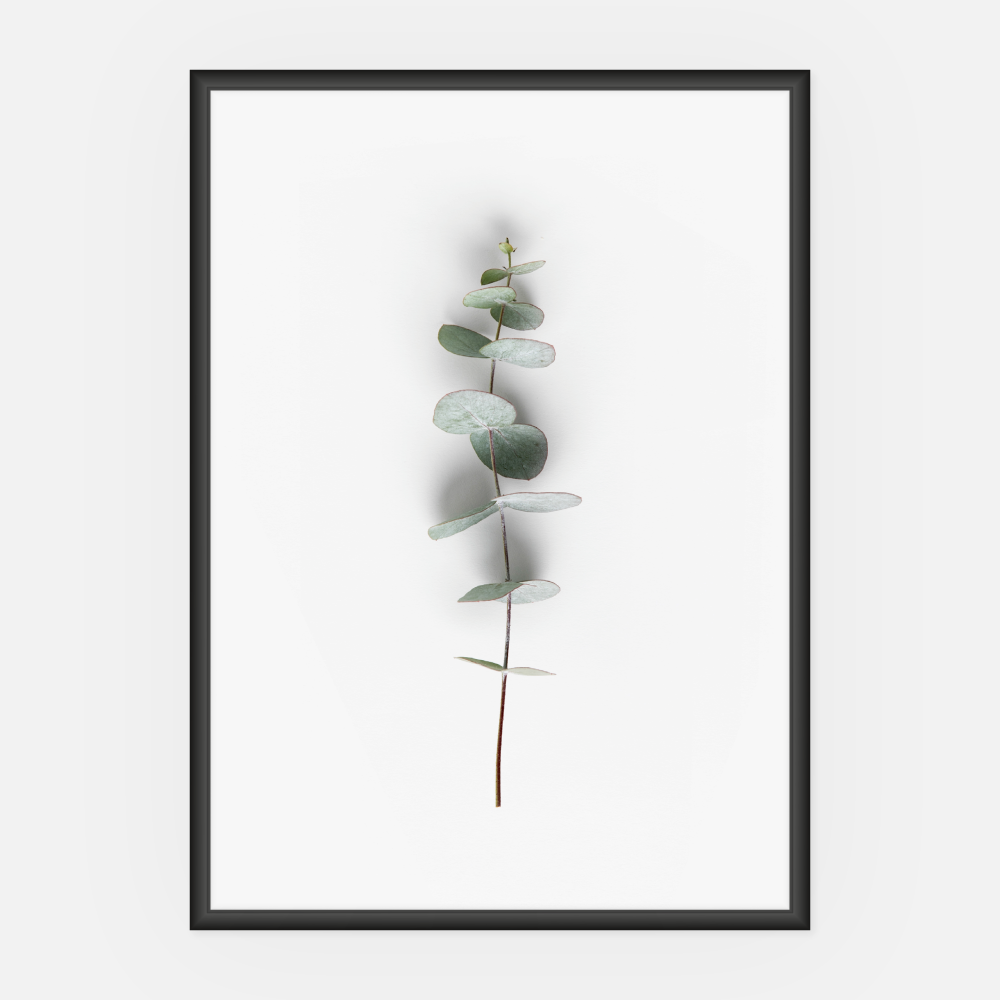 Wandbild Eukalyptus A3 