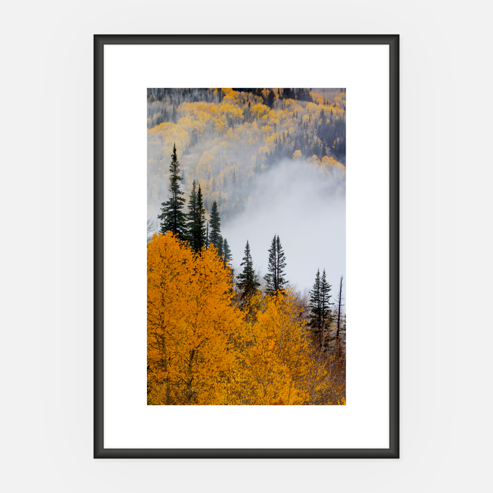 Wandbild Herbstwald A3 