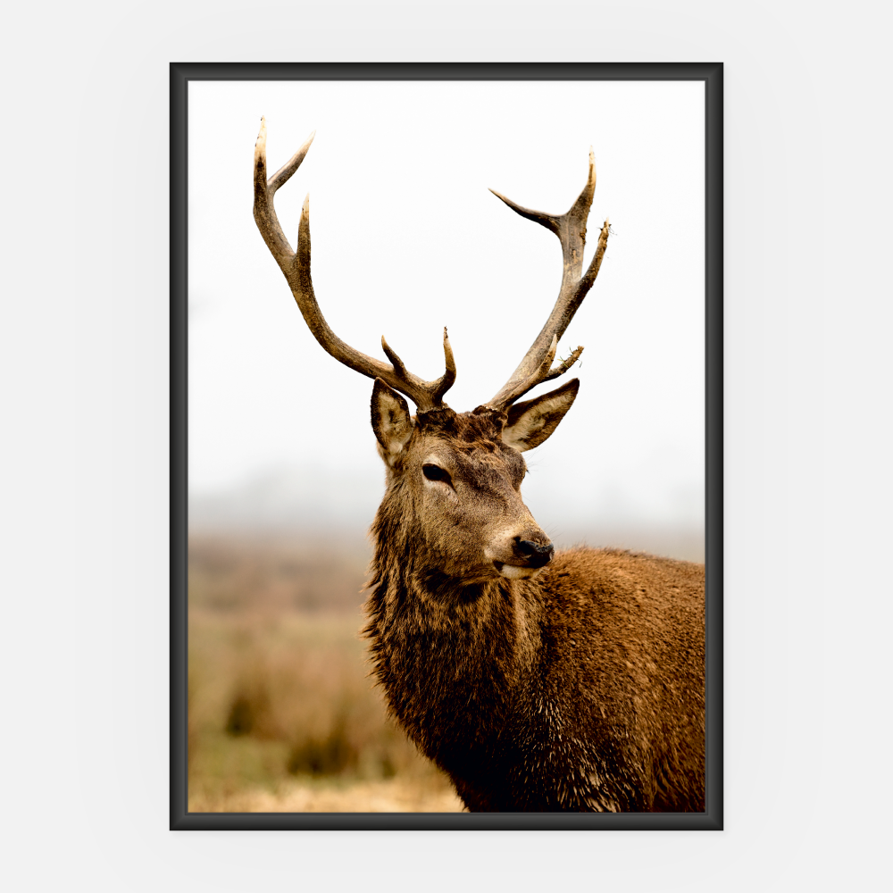 Wandbild Hirsch A3