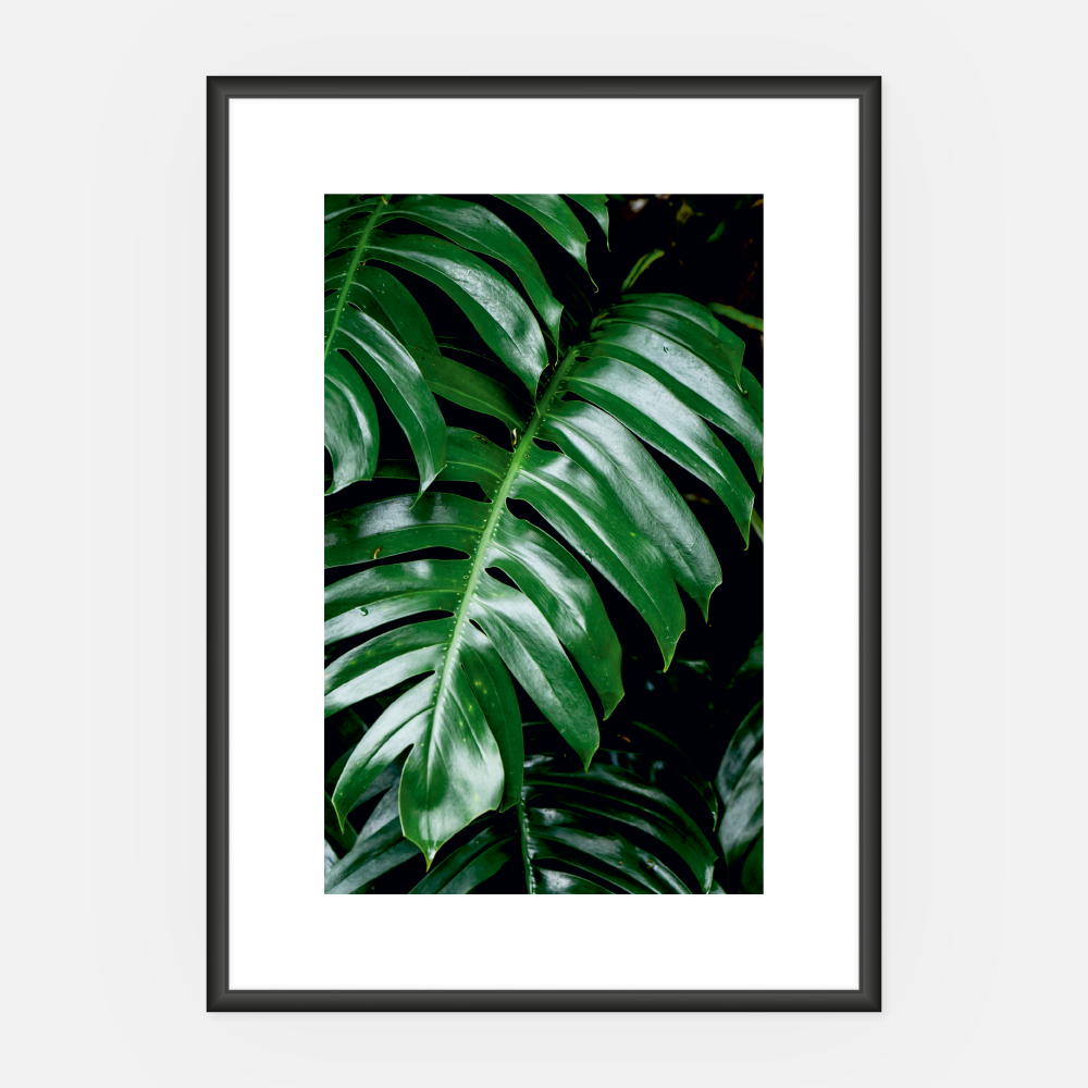 Wandbild Monstera A3