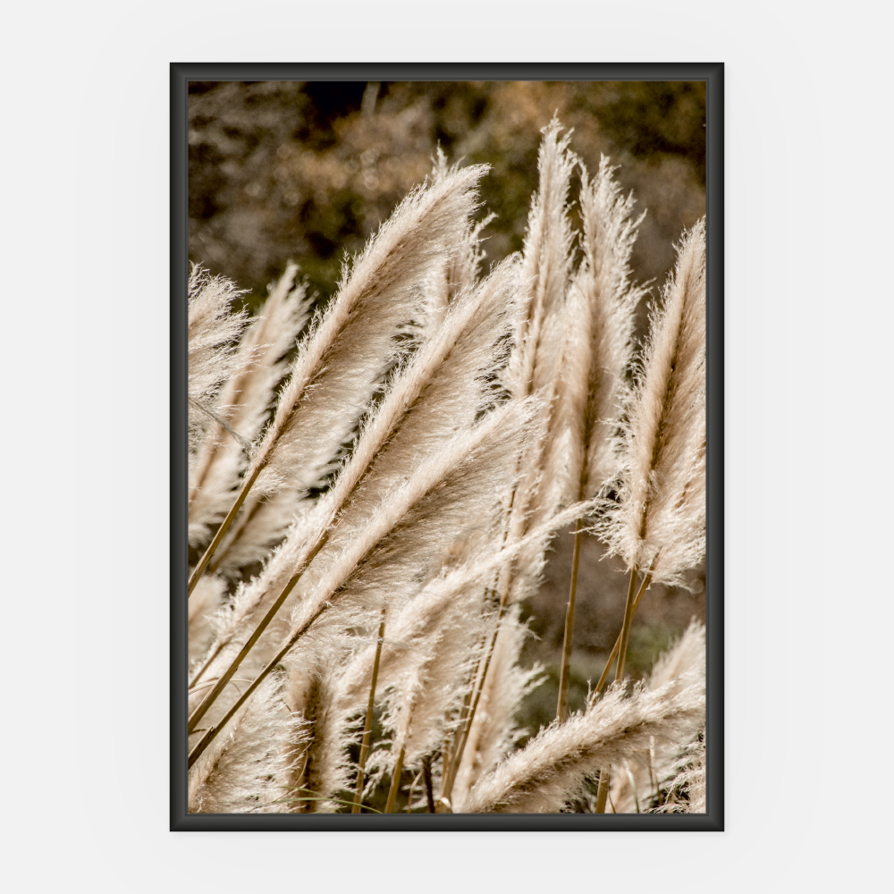 Wandbild Reed A3