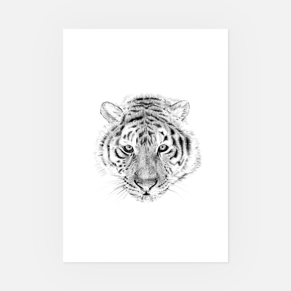 Wandbild Tiger