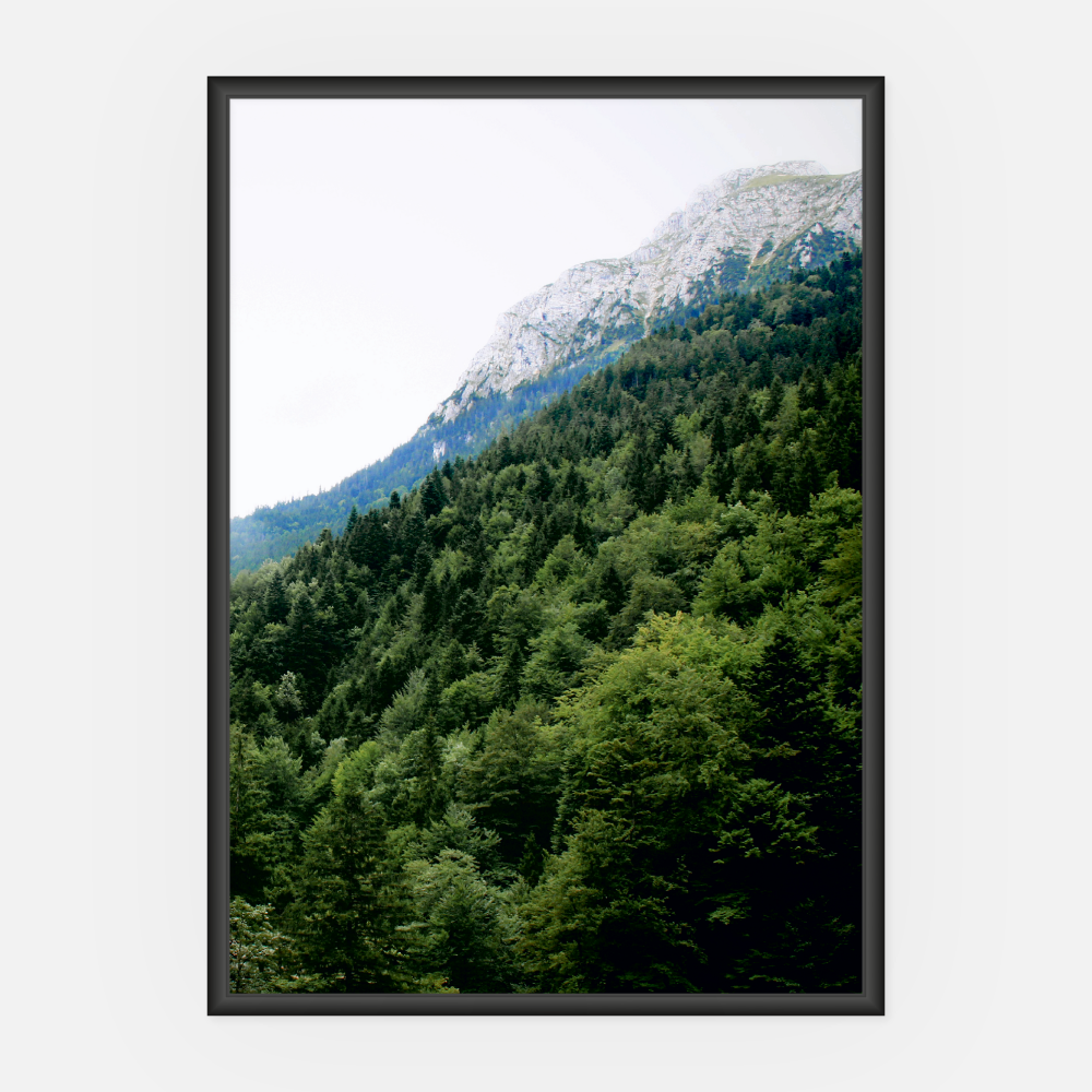 Wandbild Wald A3 