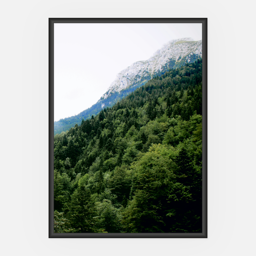 Wandbild Wald A3