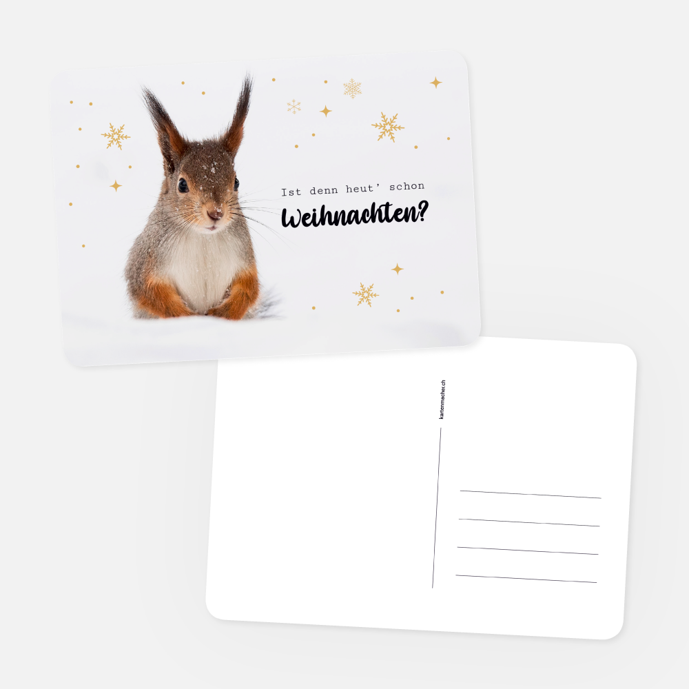 Postkarten Eichhörnchen