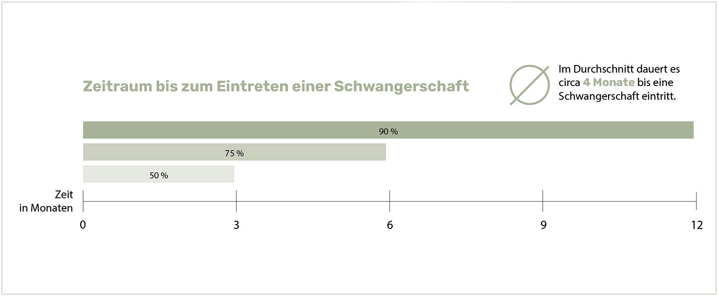 Grafik dauer bis zur Schwangerschaft