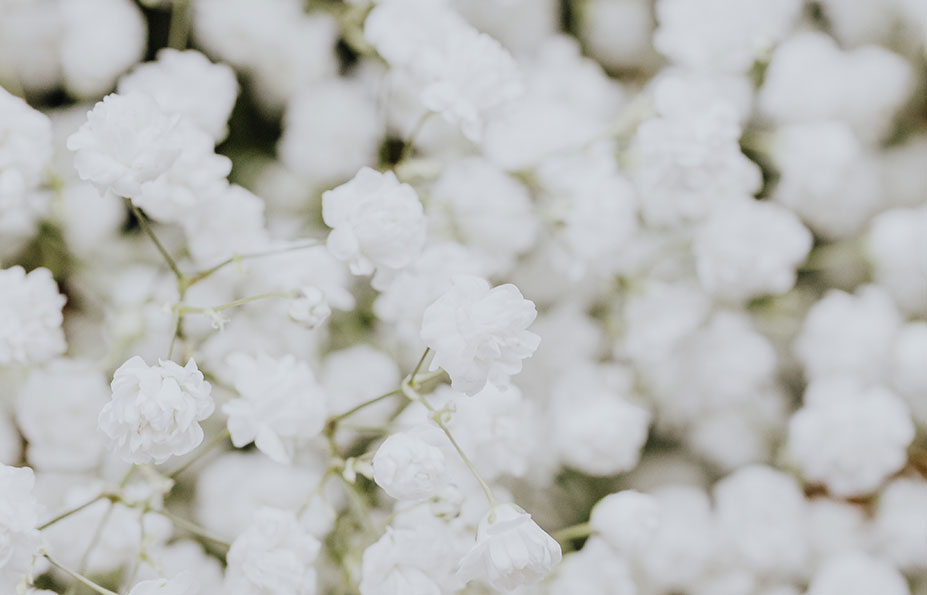 Hochzeitscheckliste Weisse Blumen