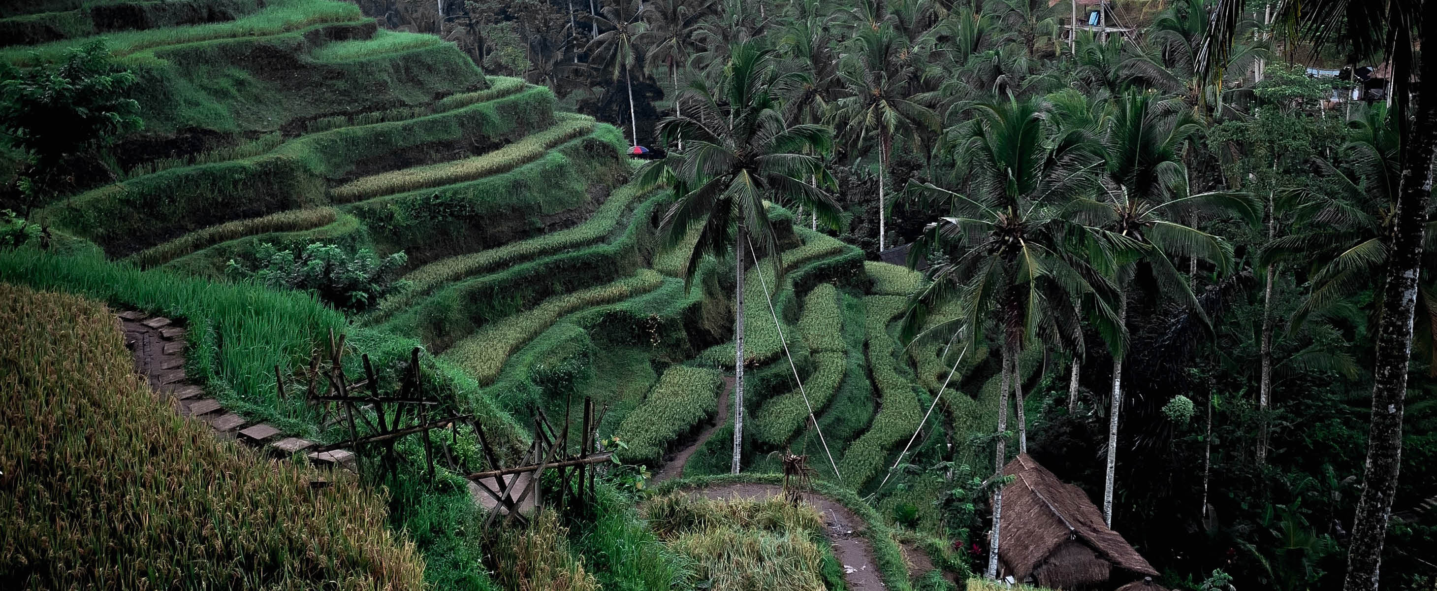 flitterwoche bali natur