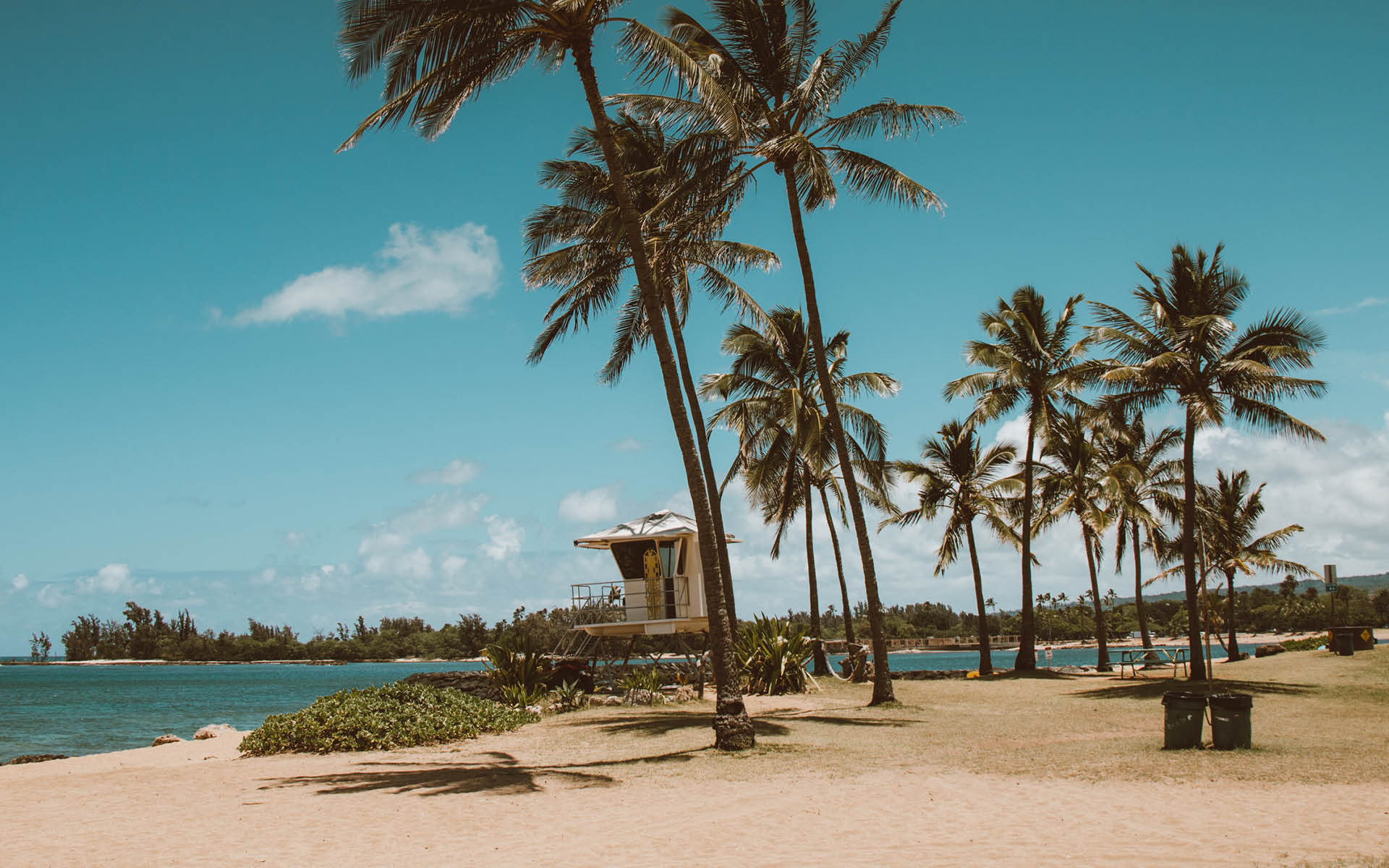 flitterwoche strand Palmen